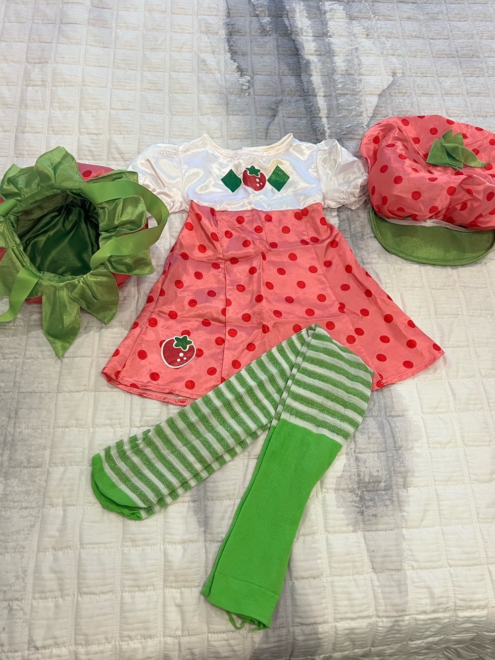 2009 Strawberry Shortcake Costume 4 piece set Toddler